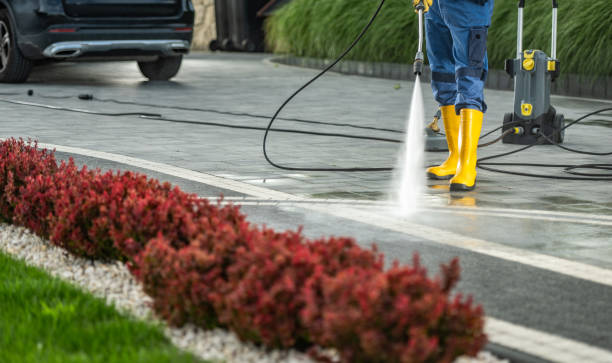 Deck Cleaning Services in Wilmette, IL